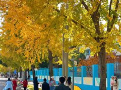 -四川大学(望江校区)