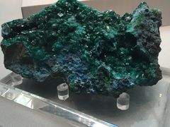 -湖南省地质博物馆