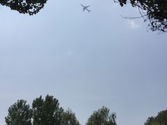 -东郊湿地公园
