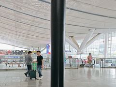 -麦当劳(深圳北站高铁店)