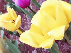 -长春公园(普阳街道)