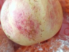 -鲜力达果品批发直销(汇金店)