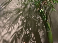 -森SPA·泰式按摩·精油Massage(宝安中心店)