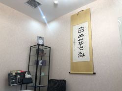 -北京丽星翼美医疗美容