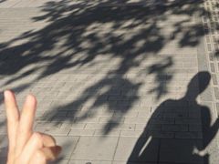 -廊坊市自然公园