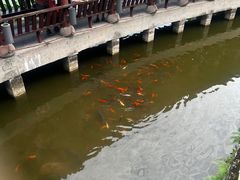 -龙头寺公园