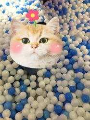 -幻贝家儿童乐园(苏州中心店)