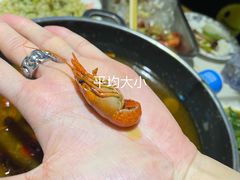 -蛙蛙叫干锅年代(簋街总店)