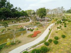 -东莞植物园