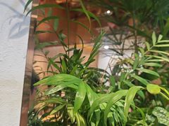 -霸王茶姬(正佳广场店)