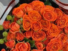 -循礼门鲜花花市(武汉循礼门店)