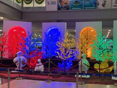 -西沃古尔·拉姆古兰爵士国际机场