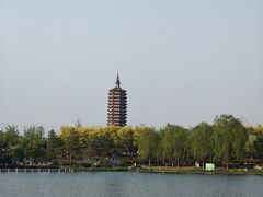 -西海子公园