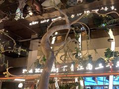 -桂满陇·海市蜃楼·黑金(国金店)