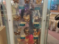 -陕西自然博物馆