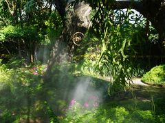 -Chom Cafe and Restaurant