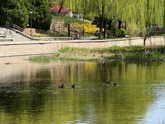 -元大都城垣遗址公园