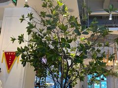 -春饼先生·北京烤鸭(甘井子万达店)