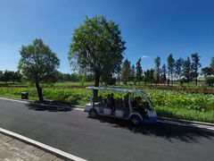 -洪湖生态旅游区