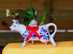 -共青国家森林公园-售票处