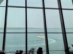 -抱抱地球咖啡馆(国家海洋博物馆店)