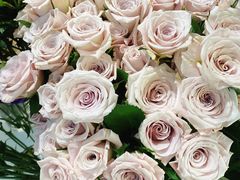 -森野花艺培训·企业团建活动沙龙