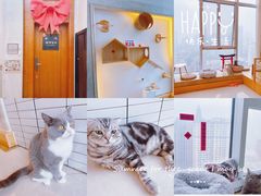 -Catmate·猫肥家润(金润铂宫店)