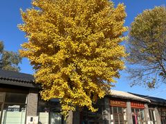 -蟠龙山长城景区