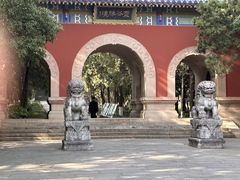 -灵谷景区