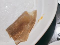 空运绿色毛肚-渝利重庆火锅