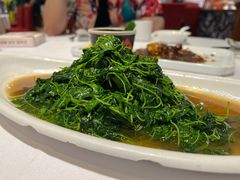-天福苑(崇宁路店)