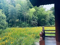 -兰亭风景区