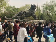 景点-北京动物园
