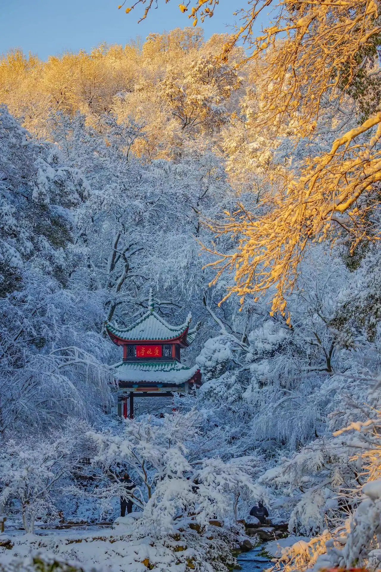 长沙的初雪如约而至,银装素裹分外妖娆