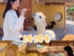 -珠海海泉湾神秘岛亲子乐园