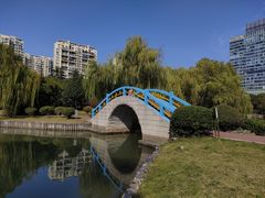 -中央公园(苏州工业园区)