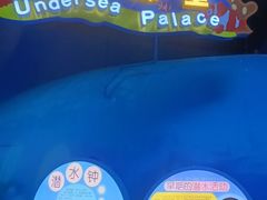 -上海海昌海洋公园