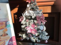 -COSTA COFFEE(国正中心店)