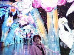 -厦门园林博览苑