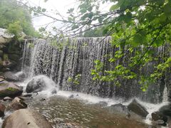 -汤旺河林海奇石景区