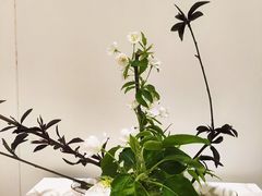 -今日陶艺(富力广场店)