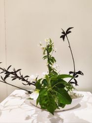 -今日陶艺(富力广场店)