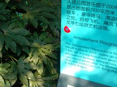 -人民公园-相亲角