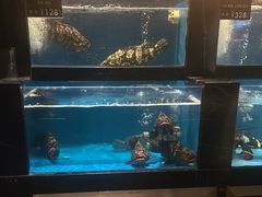 -百富源·海鲜辽菜(和平北大街店)