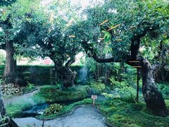 -Chom Cafe and Restaurant