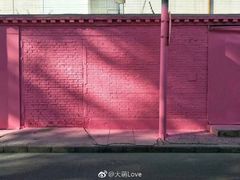 -威克特披萨汉堡