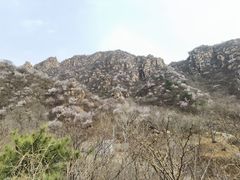 -大岭沟猕猴桃谷风景区
