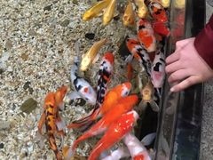-左海海底世界