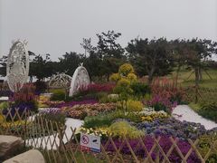 -小麦岛公园
