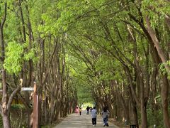 -同里国家湿地公园